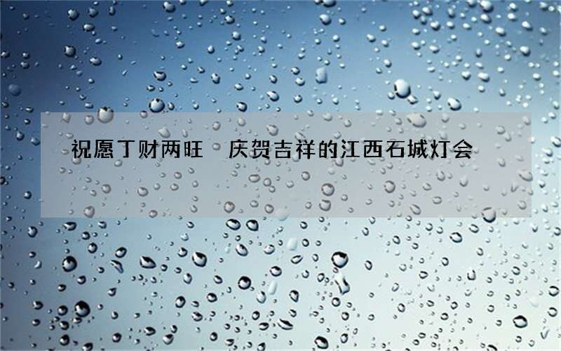 祝愿丁财两旺 庆贺吉祥的江西石城灯会